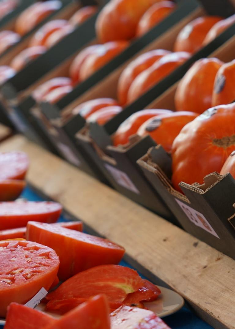 CONCURSO-SUBASTA TOMATE HUEVO TORO 2024