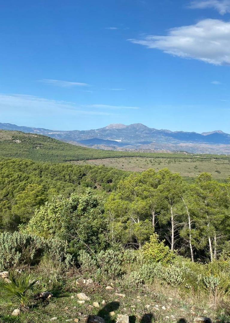 IV CxM Sierras de Coín