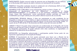 Bases Concurso 2024