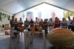 Jurado tras la deliberación