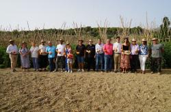 CampañaRecogidaTomate_1