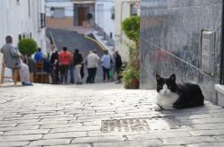 Remodelación Puerta de la Villa