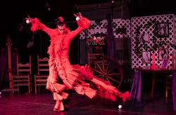 Cirkorama Festival: Empaque