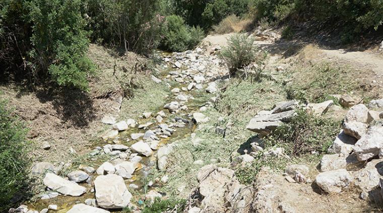 desbrocebarrancoweb3