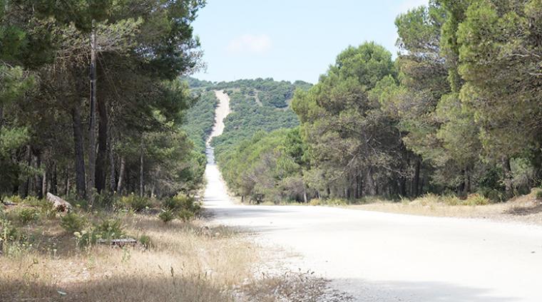 prevencionincendioweb1